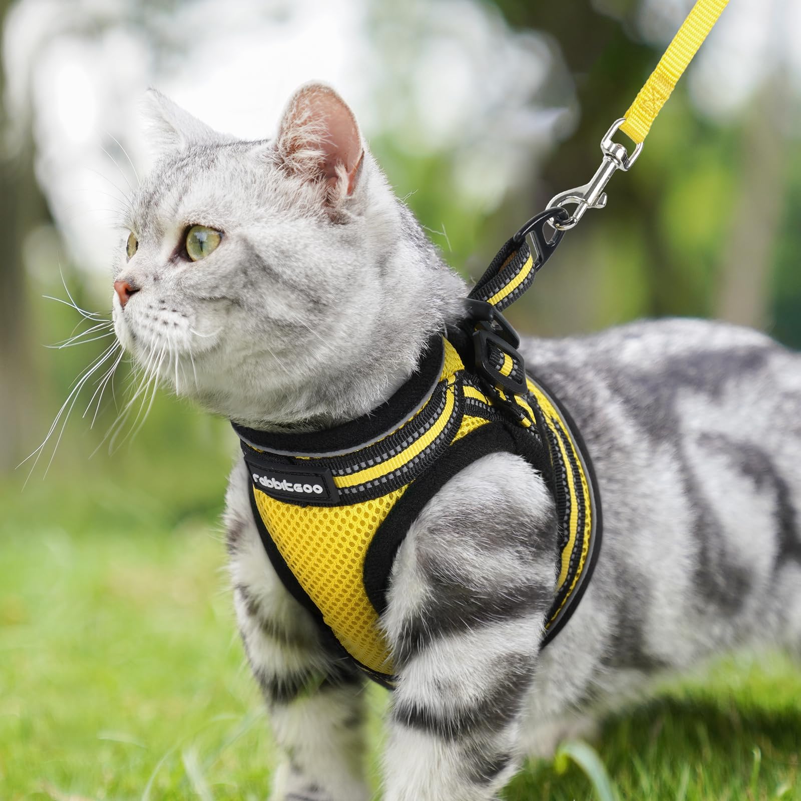 A cat wearing the bright yellow rabbitgoo harness outdoors.