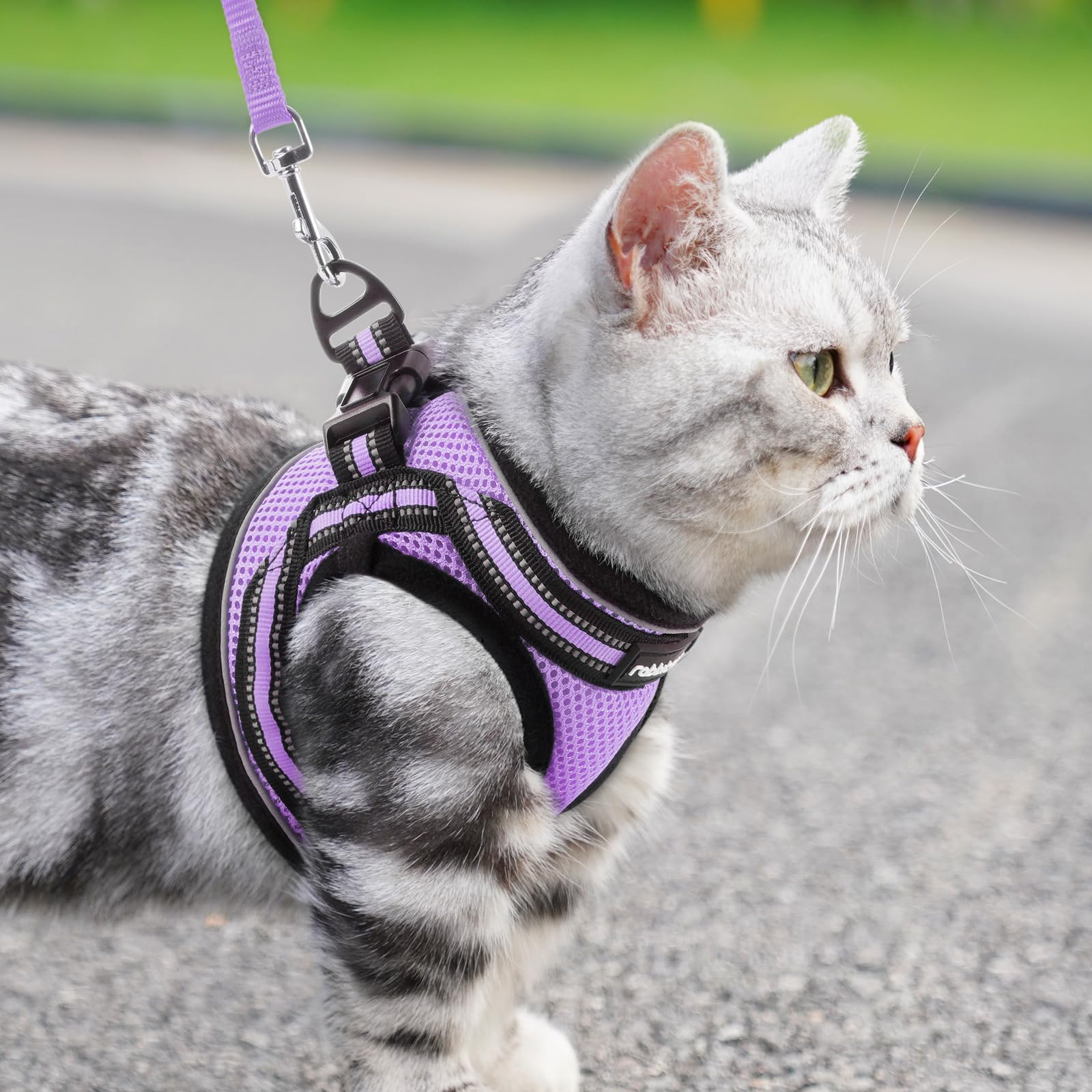 rabbitgoo Cat Harness and Leash Set shown on a cat outdoors.