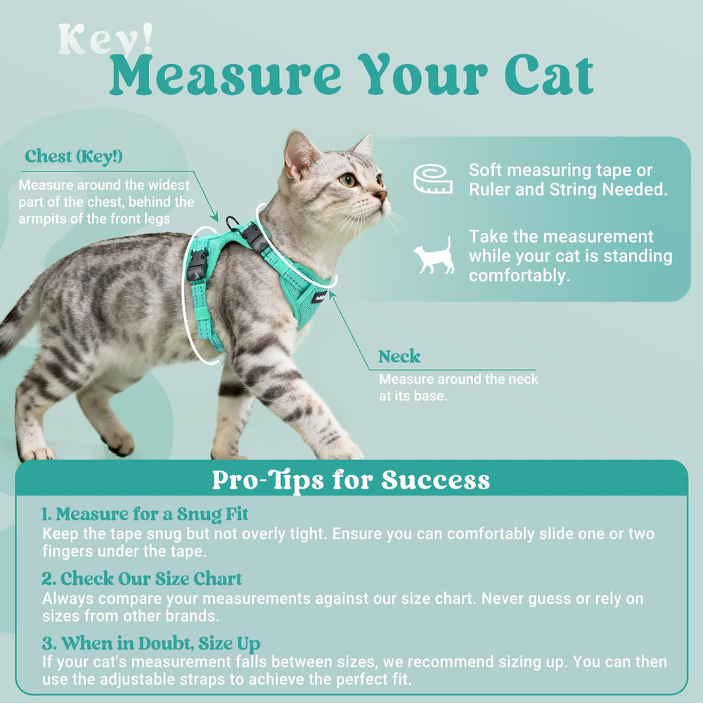 rabbitgoo Cat Harness and Leash set shown with its packaging.