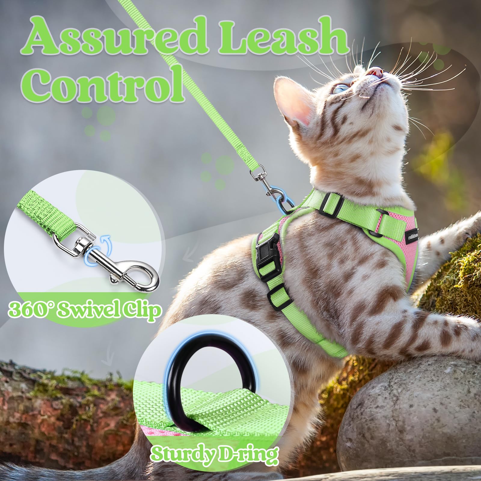 rabbitgoo cat harness close-up showing its quick-release buckles.