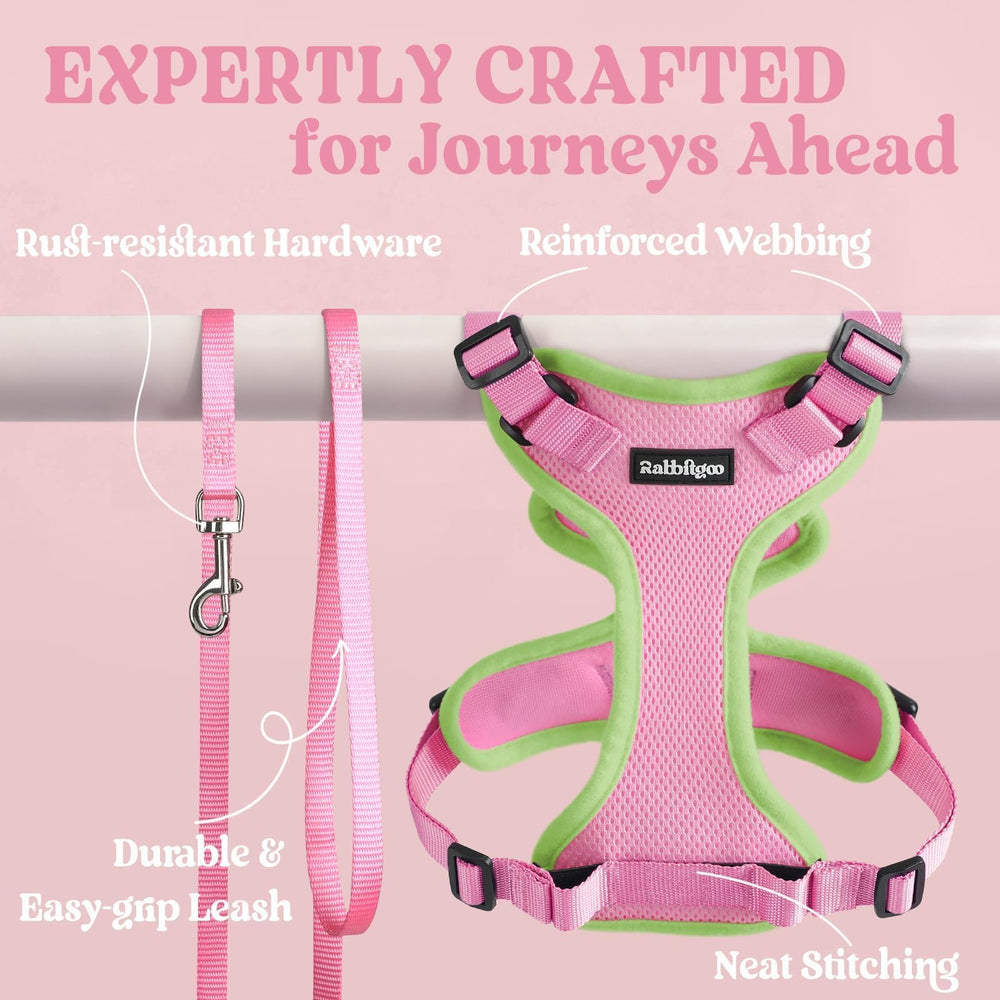 rabbitgoo Cat Harness close-up of the dual quick-release buckles.