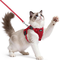 rabbitgoo cat harness in red shown from the front.