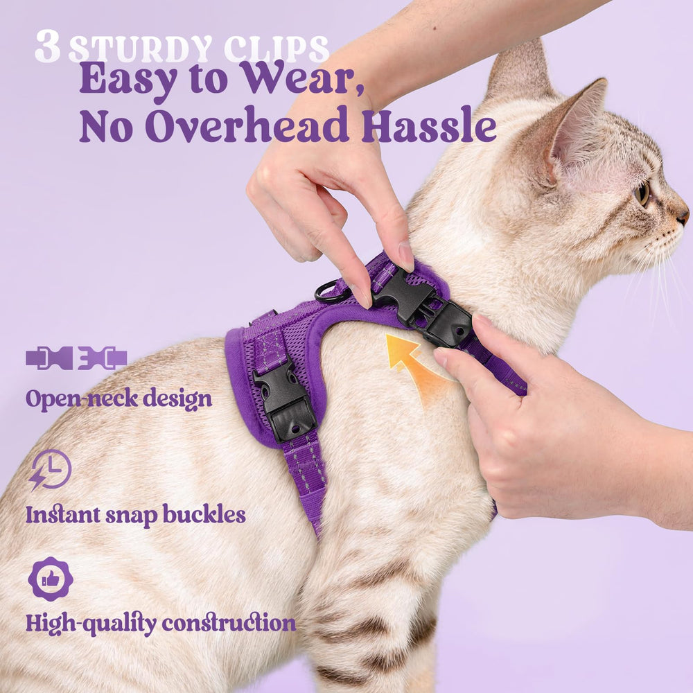 rabbitgoo Cat Harness and Leash with reflective strips on both pieces.