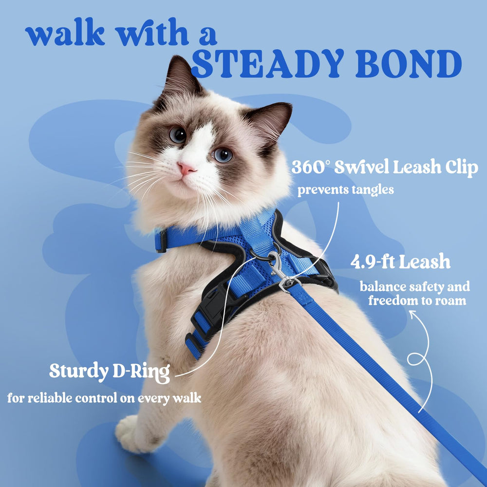 rabbitgoo Cat Harness reflective strips shown on the navy vest.