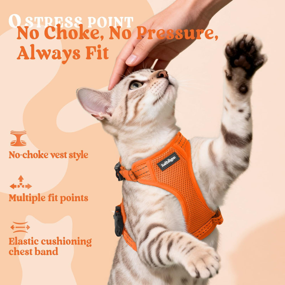 rabbitgoo Cat Harness and Leash detail showing reflective strips on both pieces.