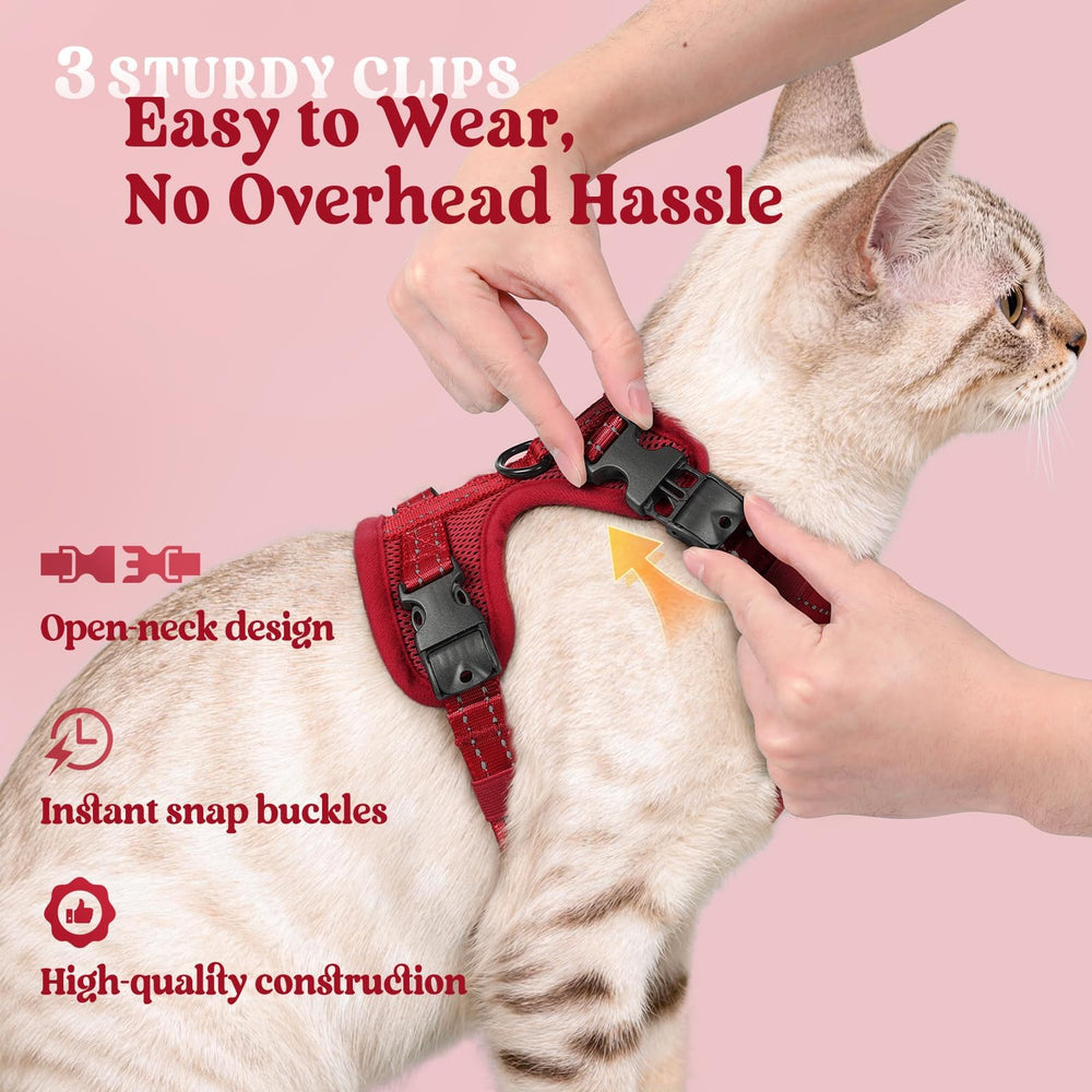 rabbitgoo cat harness and leash reflective strips shown close up.