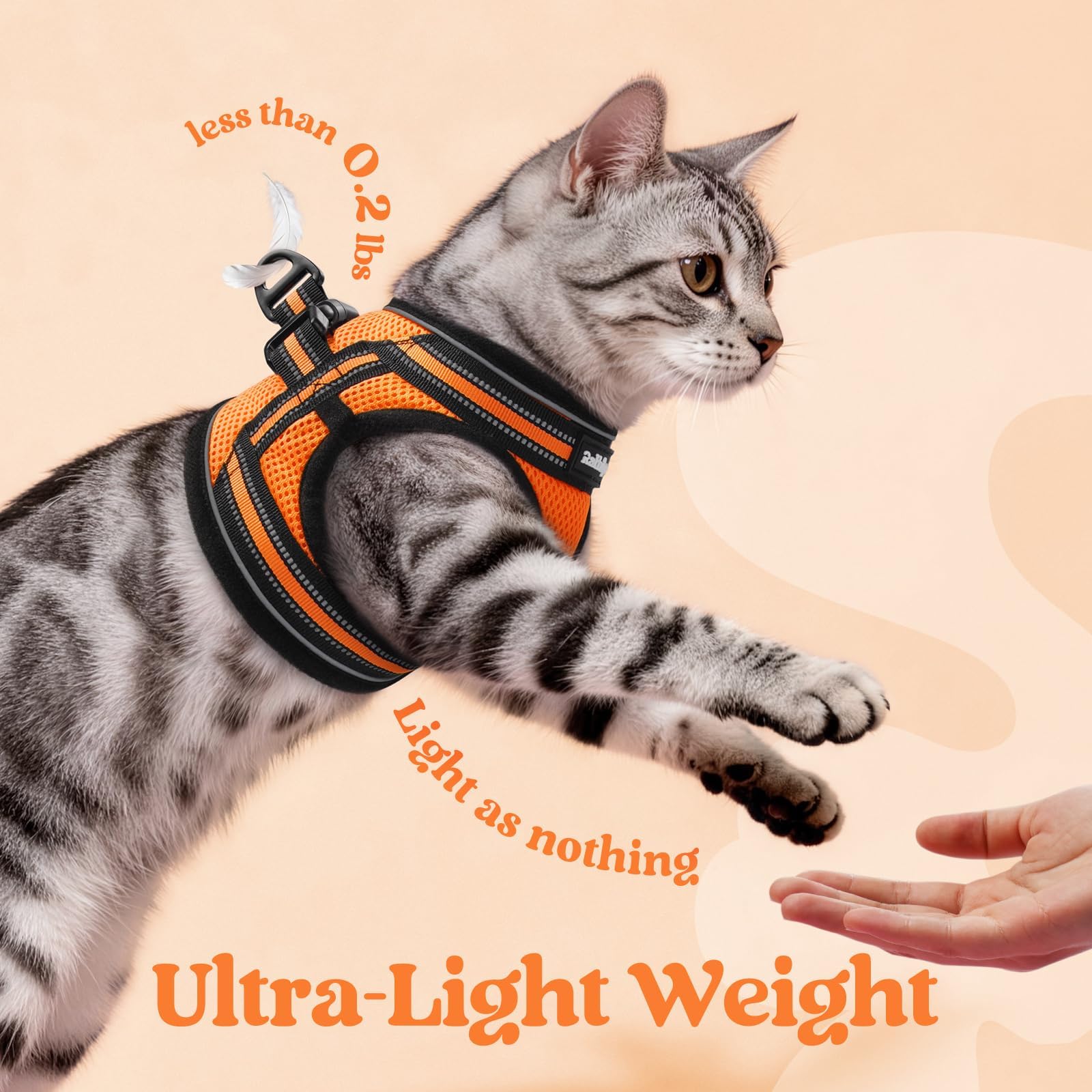 rabbitgoo cat harness showing reflective strips on the vest.