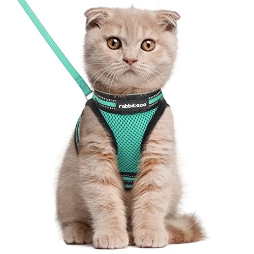 rabbitgoo Cat Harness and Leash Set detail of its reflective strips.