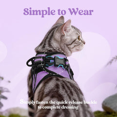 rabbitgoo cat harness detail showing the reflective strips.