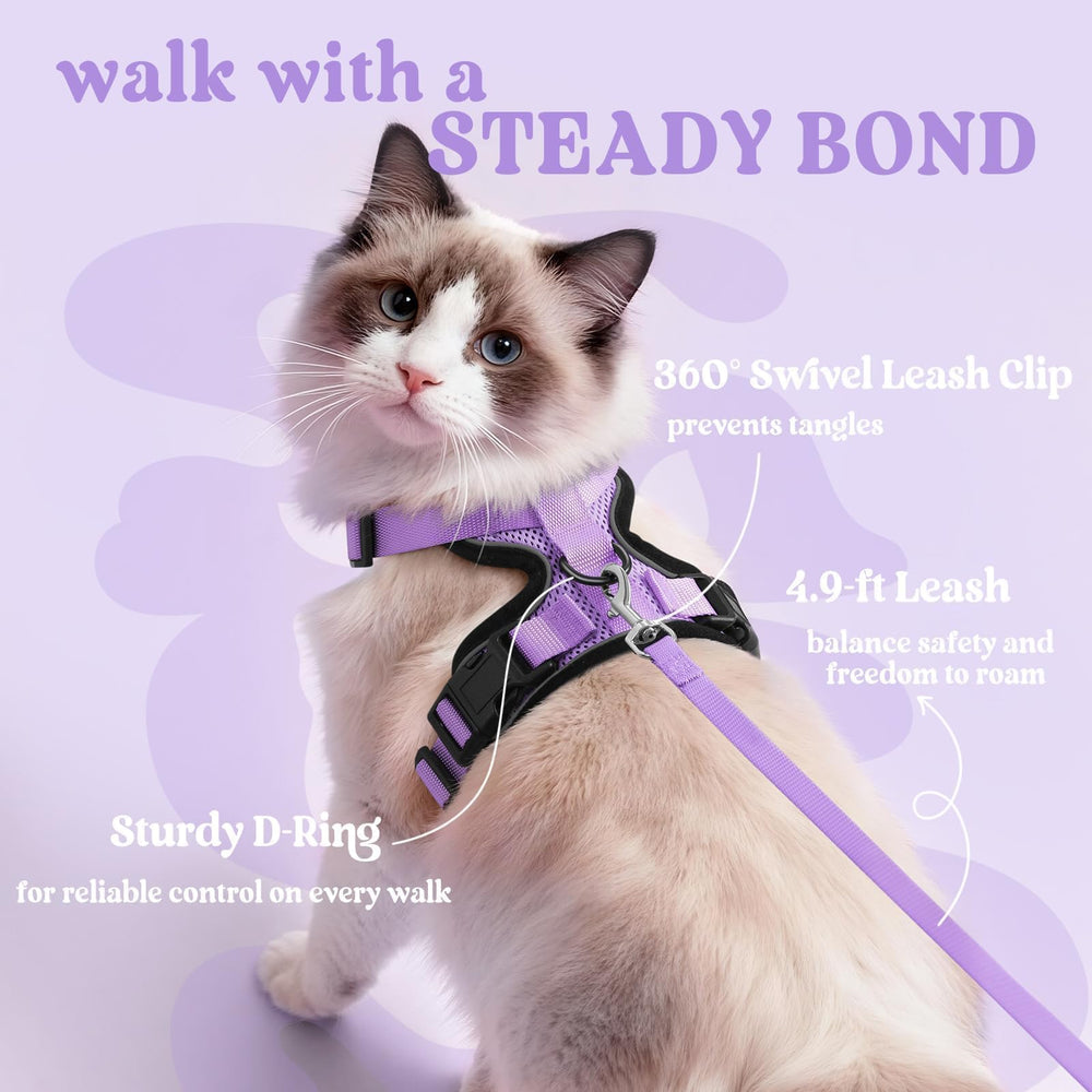 rabbitgoo Cat Harness and Leash Set showing its reflective strips.