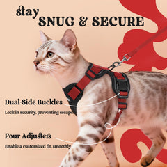rabbitgoo Cat Harness and Leash Set showing its adjustable straps.