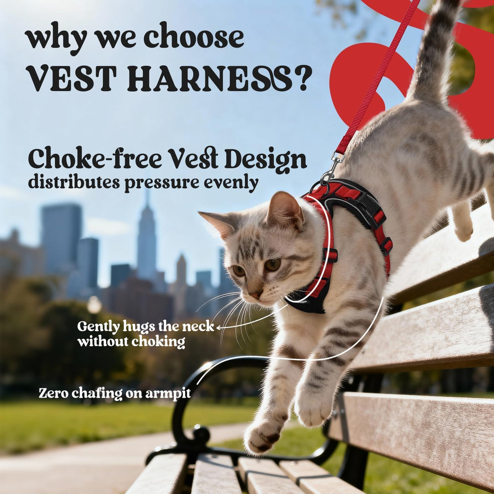 rabbitgoo Cat Harness and Leash Set featuring its back D-ring.