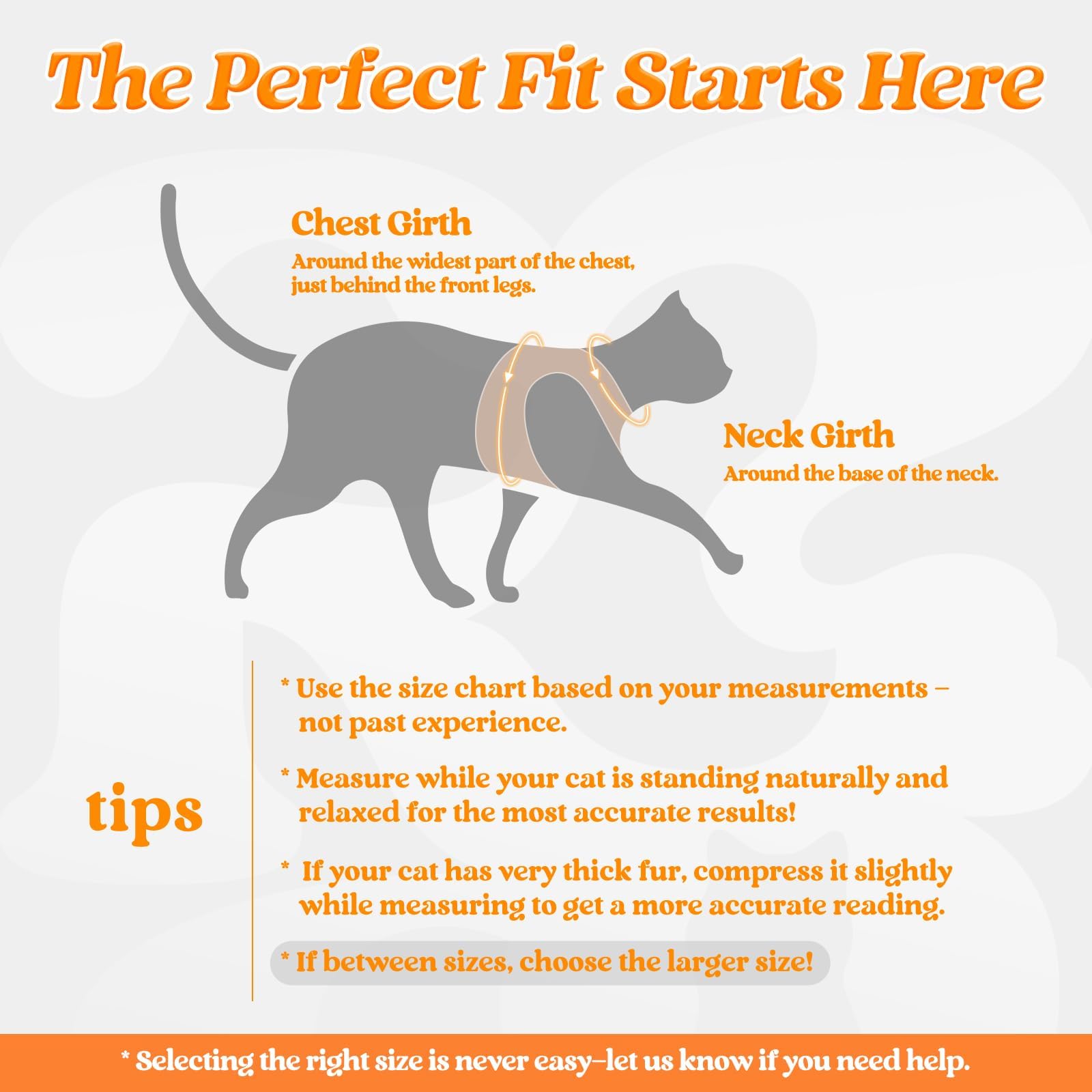 rabbitgoo cat harness and leash set shown from the back.