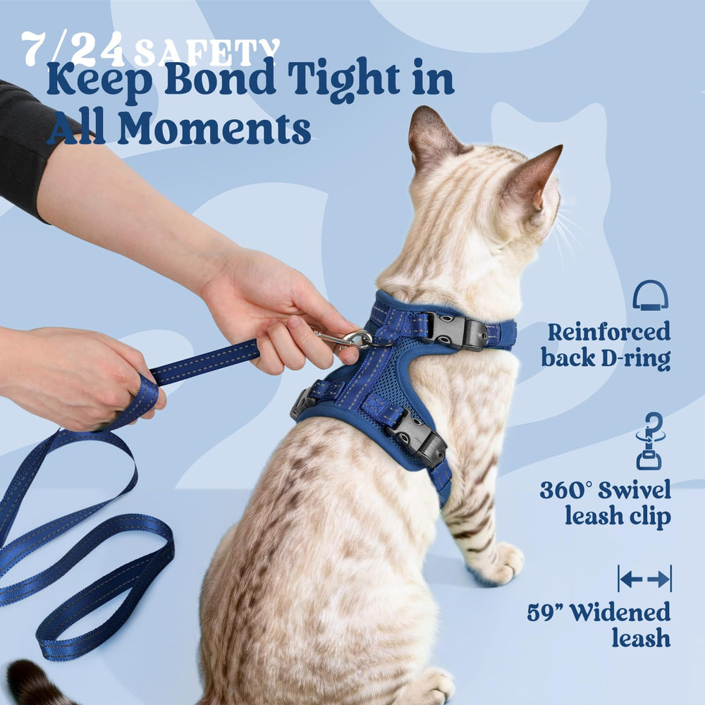 rabbitgoo Cat Harness and Leash Set showing the harness and leash together.