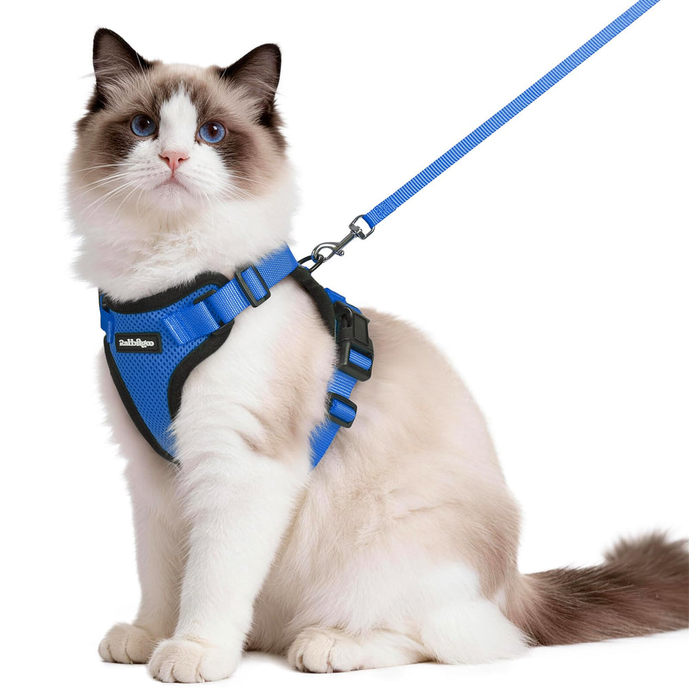 rabbitgoo Cat Harness and Leash Set shown from the front in navy blue.
