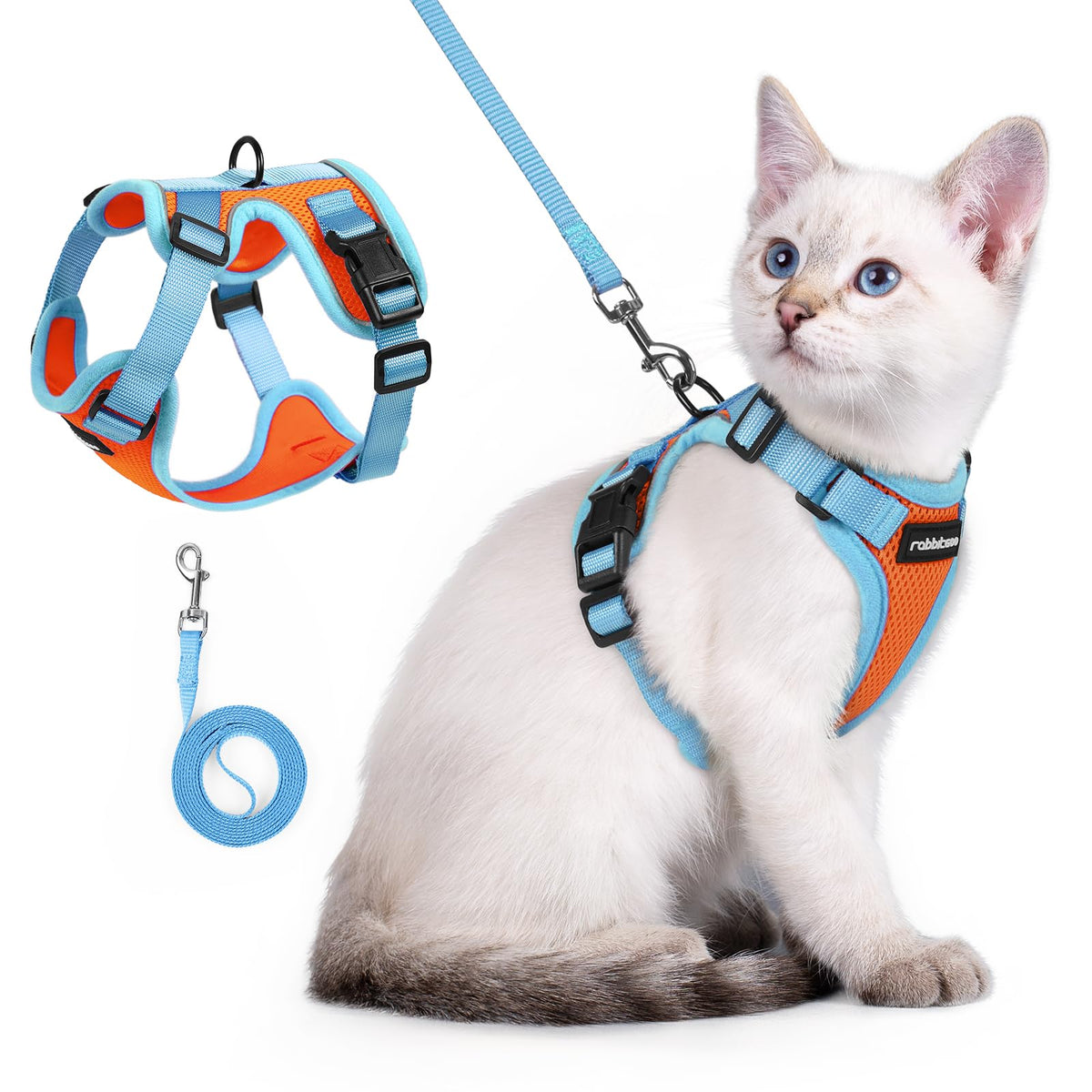 rabbitgoo Cat Harness and Leash Set shown from the front in orange and light blue.