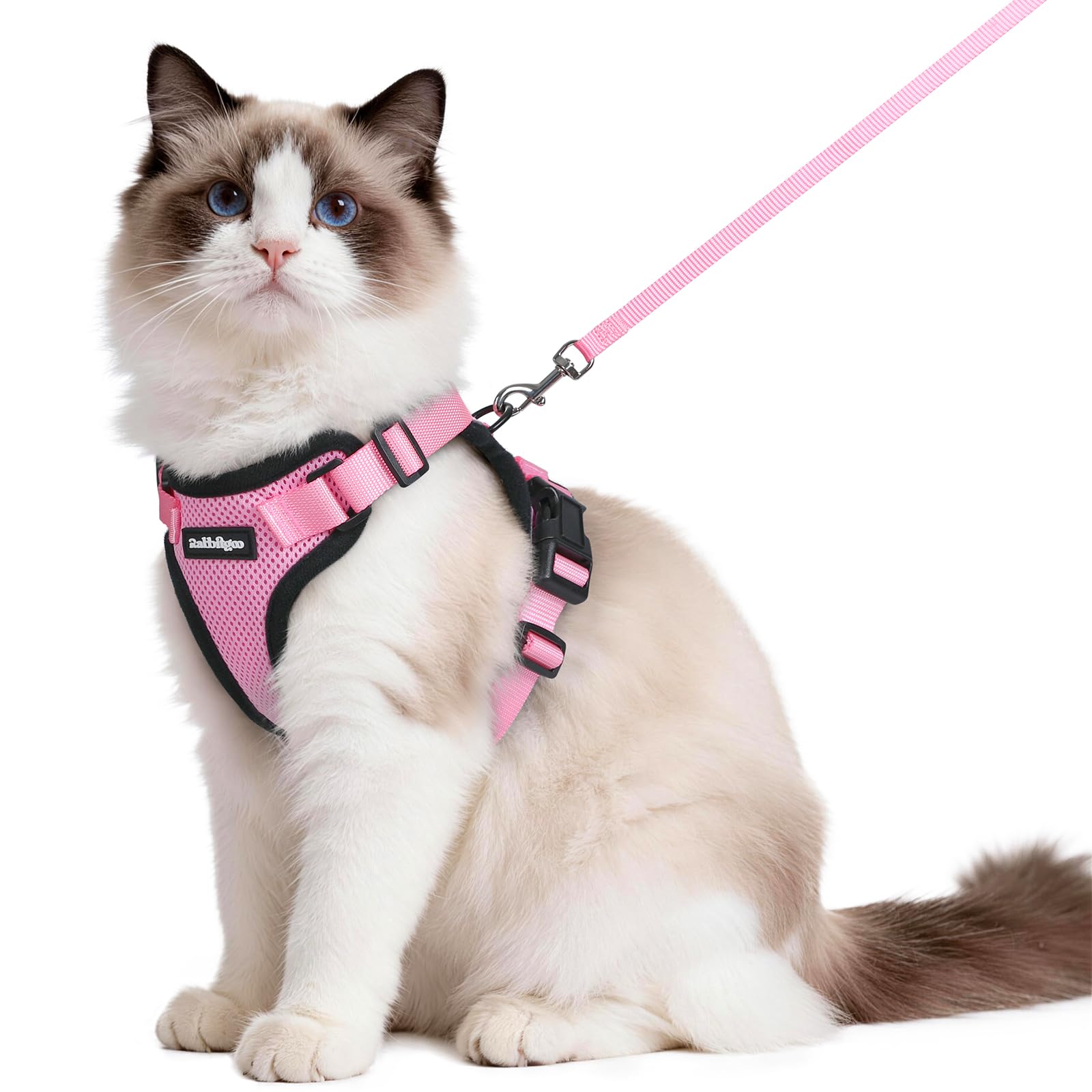 rabbitgoo cat harness and leash set shown from the front in pink.