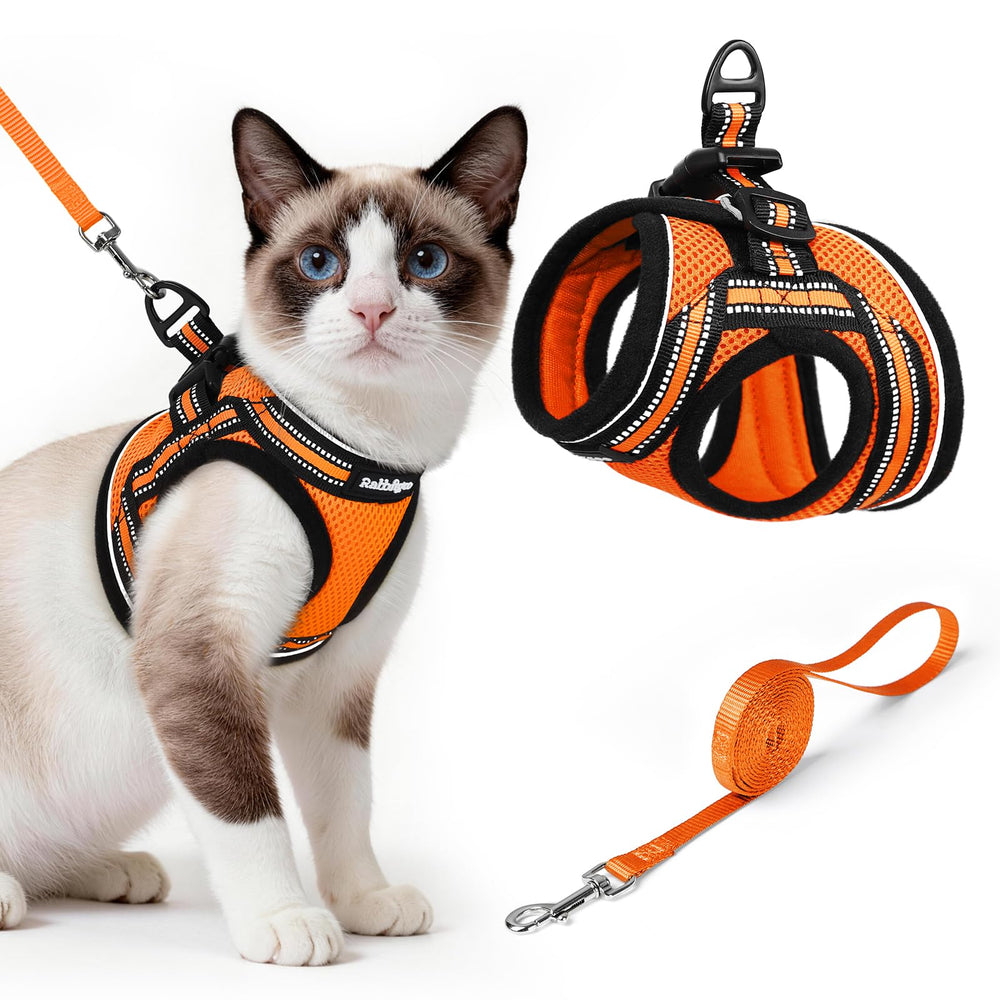 rabbitgoo cat harness and leash set shown from the front in orange.