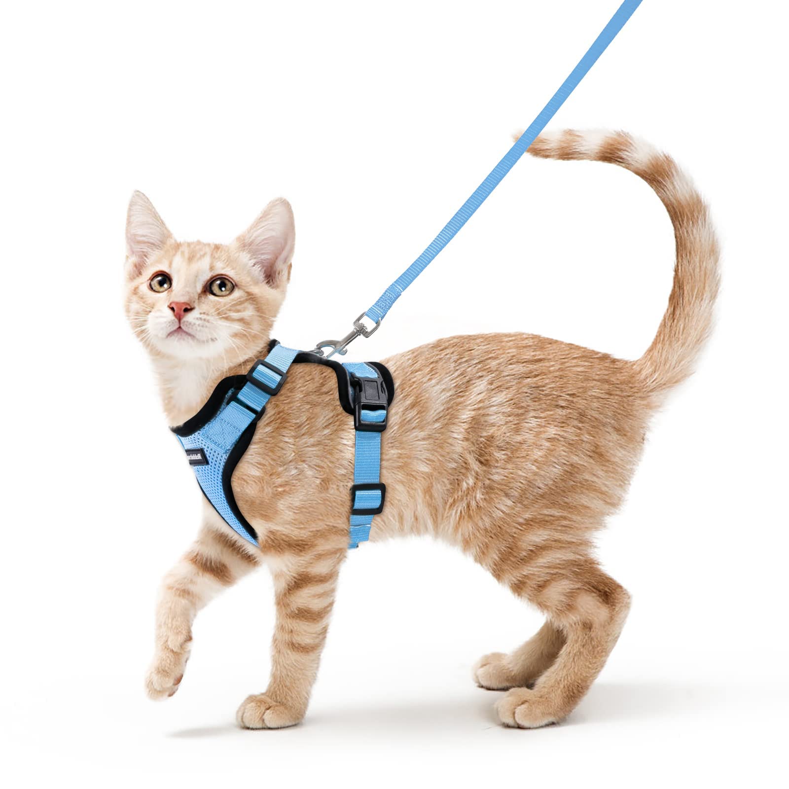 rabbitgoo Cat Harness and Leash Set shown from the front in light blue.