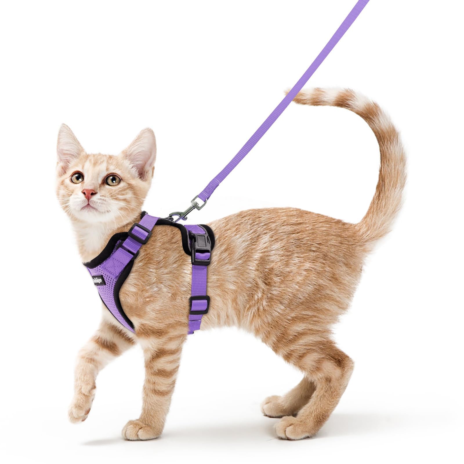 rabbitgoo Cat Harness and Leash Set shown from the front in light purple.