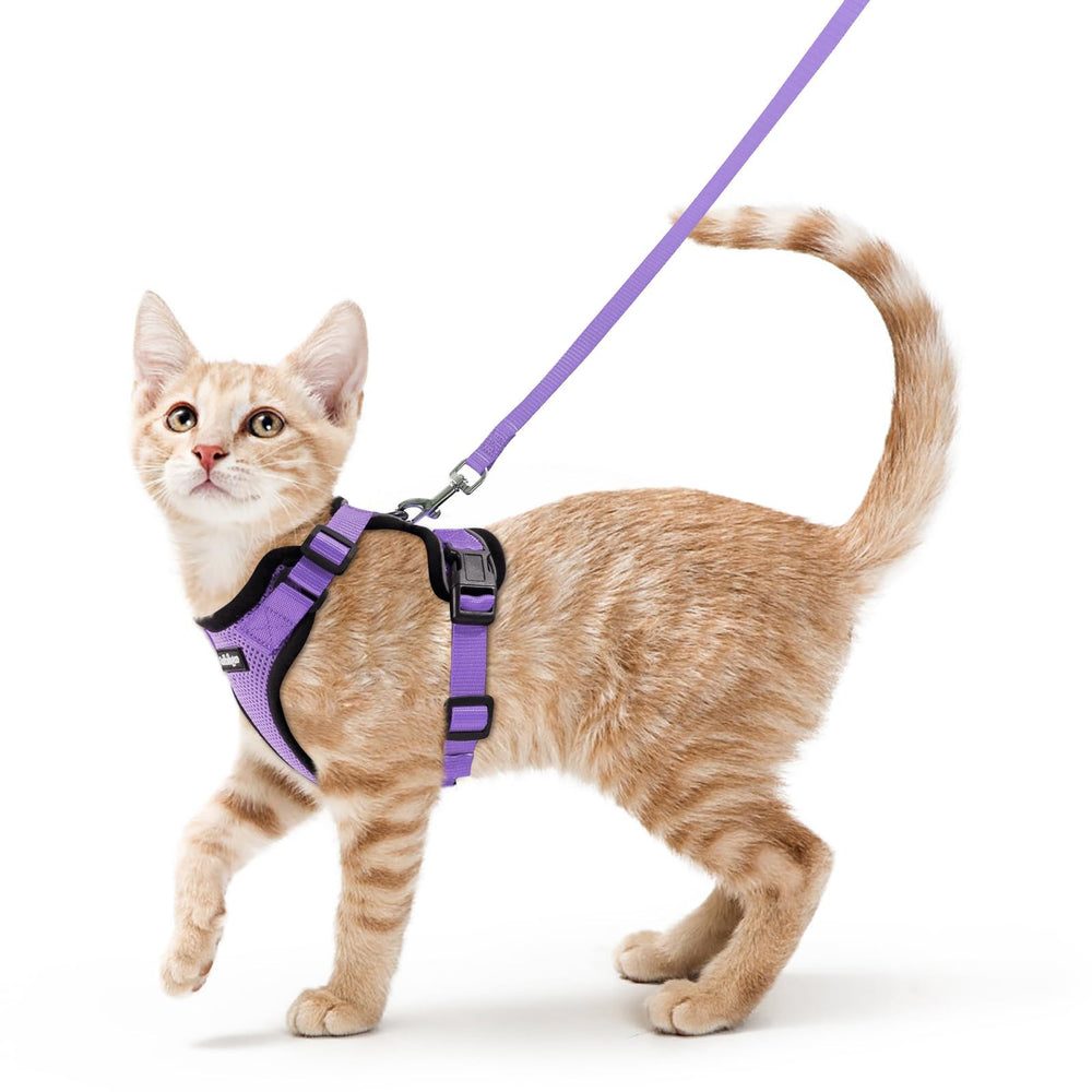 rabbitgoo Cat Harness and Leash Set shown from the front in light purple.
