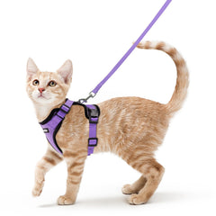 rabbitgoo Cat Harness and Leash Set shown from the front in light purple.