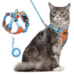 rabbitgoo cat harness and leash set shown from the front in orange and light blue.