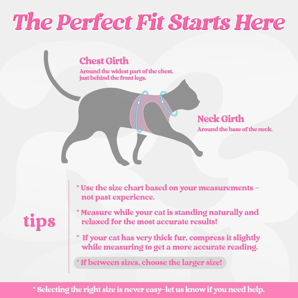 rabbitgoo cat harness and leash set shown together.