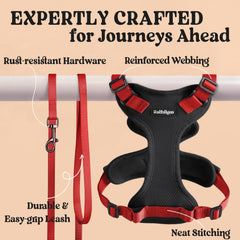 rabbitgoo Cat Harness and Leash Set with the leash shown in detail.