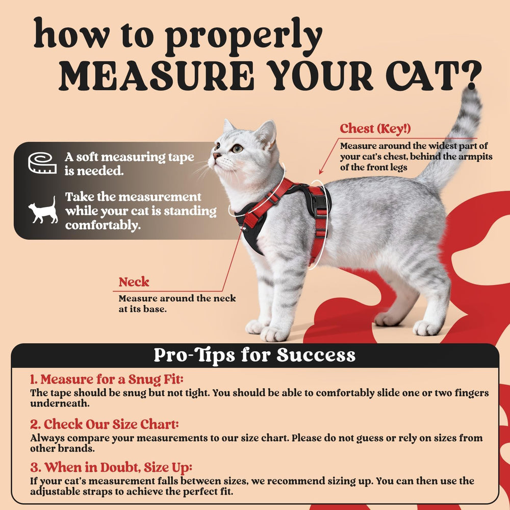 rabbitgoo Cat Harness and Leash Set shown from a side angle.
