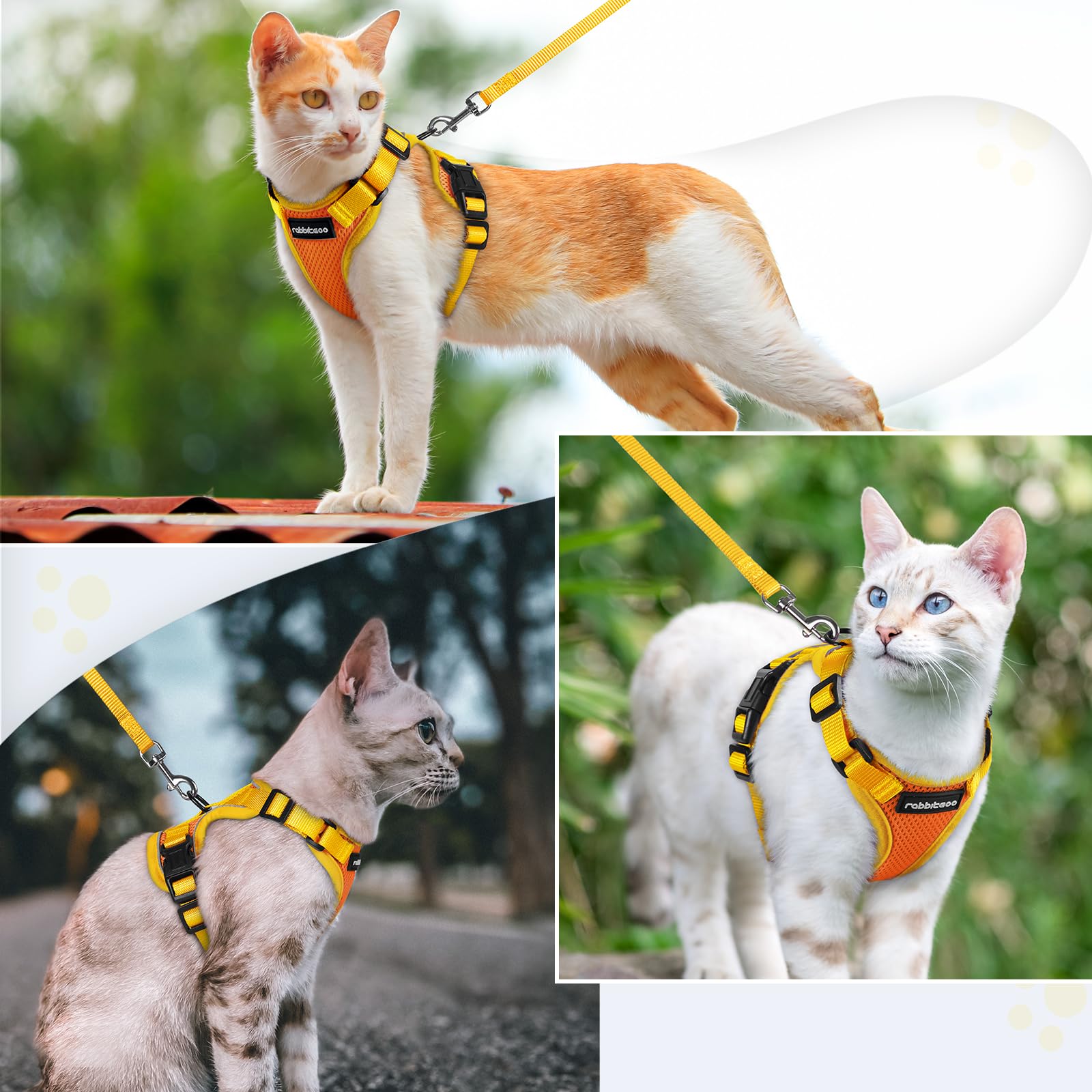 rabbitgoo cat harness and leash set shown worn as a vest-style walking harness.