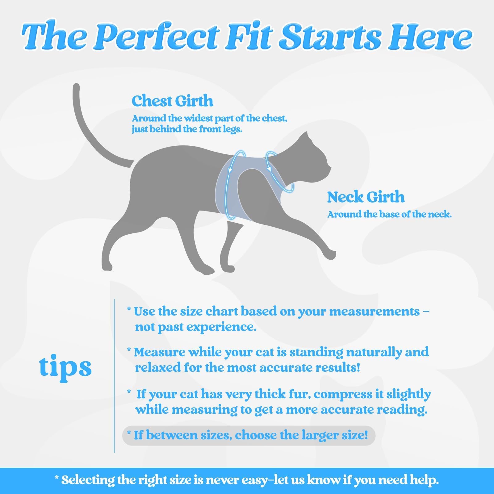 rabbitgoo Cat Harness showing its step-in vest design.