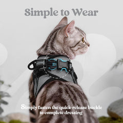 rabbitgoo Cat Harness and Leash Set showing the step-in vest design.
