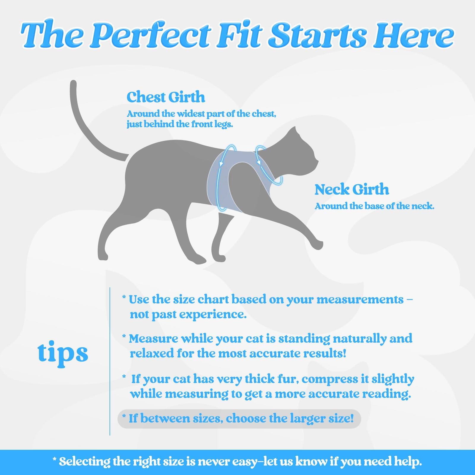 rabbitgoo Cat Harness and Leash Set showing its step-in vest design.