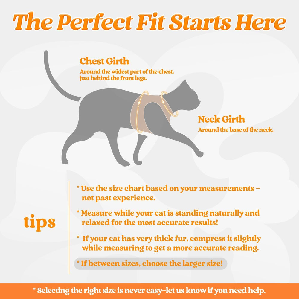 rabbitgoo cat harness showing the step-in vest design.