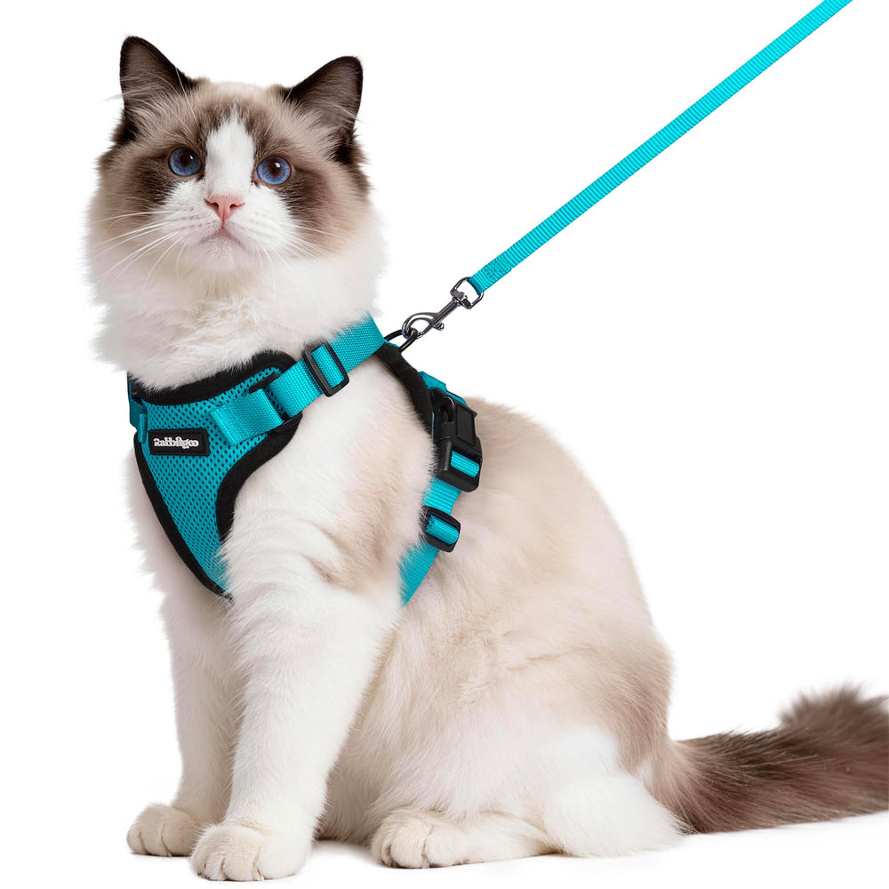 rabbitgoo cat harness set shown from the front in teal.