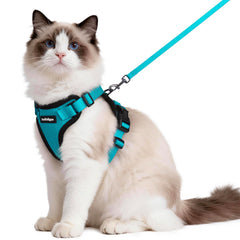 rabbitgoo cat harness set shown from the front in teal.