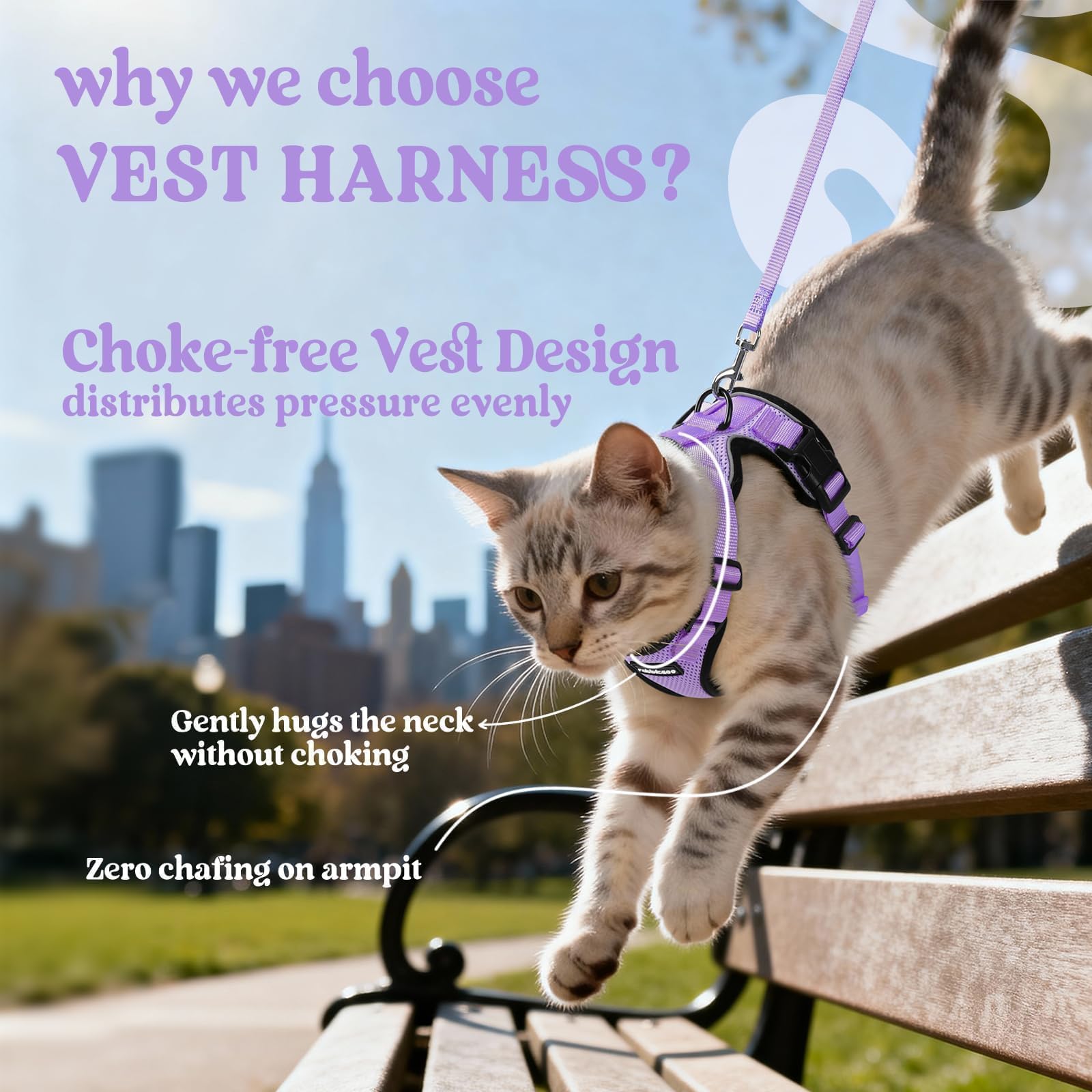 rabbitgoo Cat Harness and Leash Set showing the vest-style design.