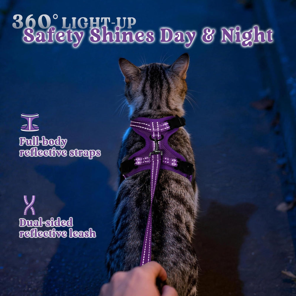rabbitgoo Cat Harness and Leash shown fitted on a cat outdoors.