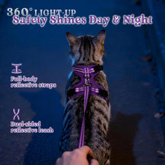 rabbitgoo Cat Harness and Leash shown fitted on a cat outdoors.