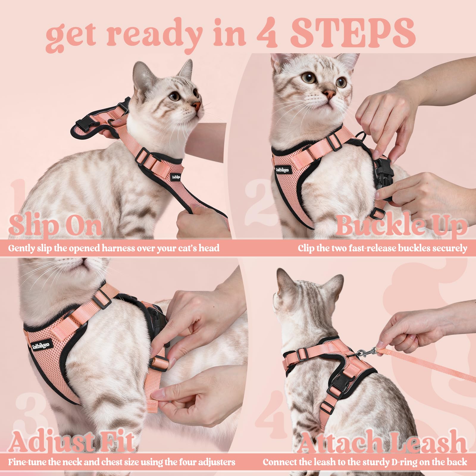 rabbitgoo Cat Harness worn by a cat for an outing.