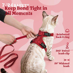 rabbitgoo cat harness shown fitted on a cat.