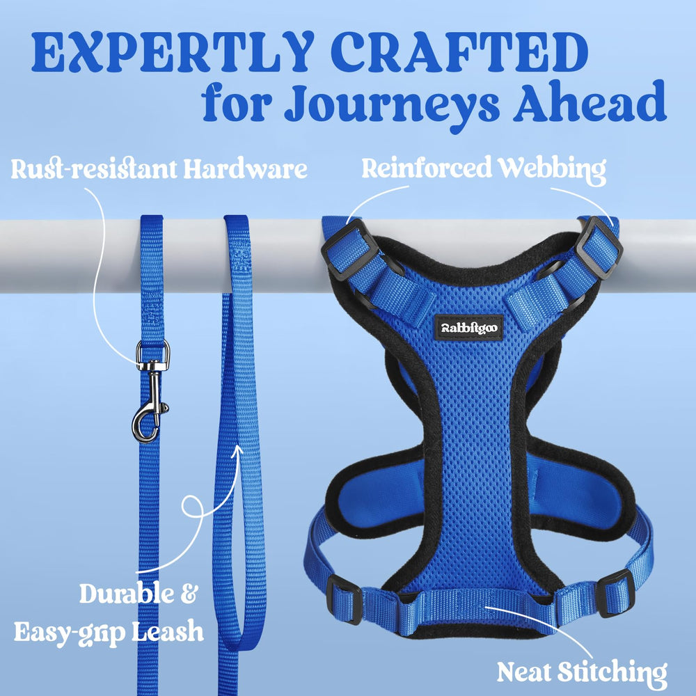 rabbitgoo Cat Harness worn by a cat during an outing.