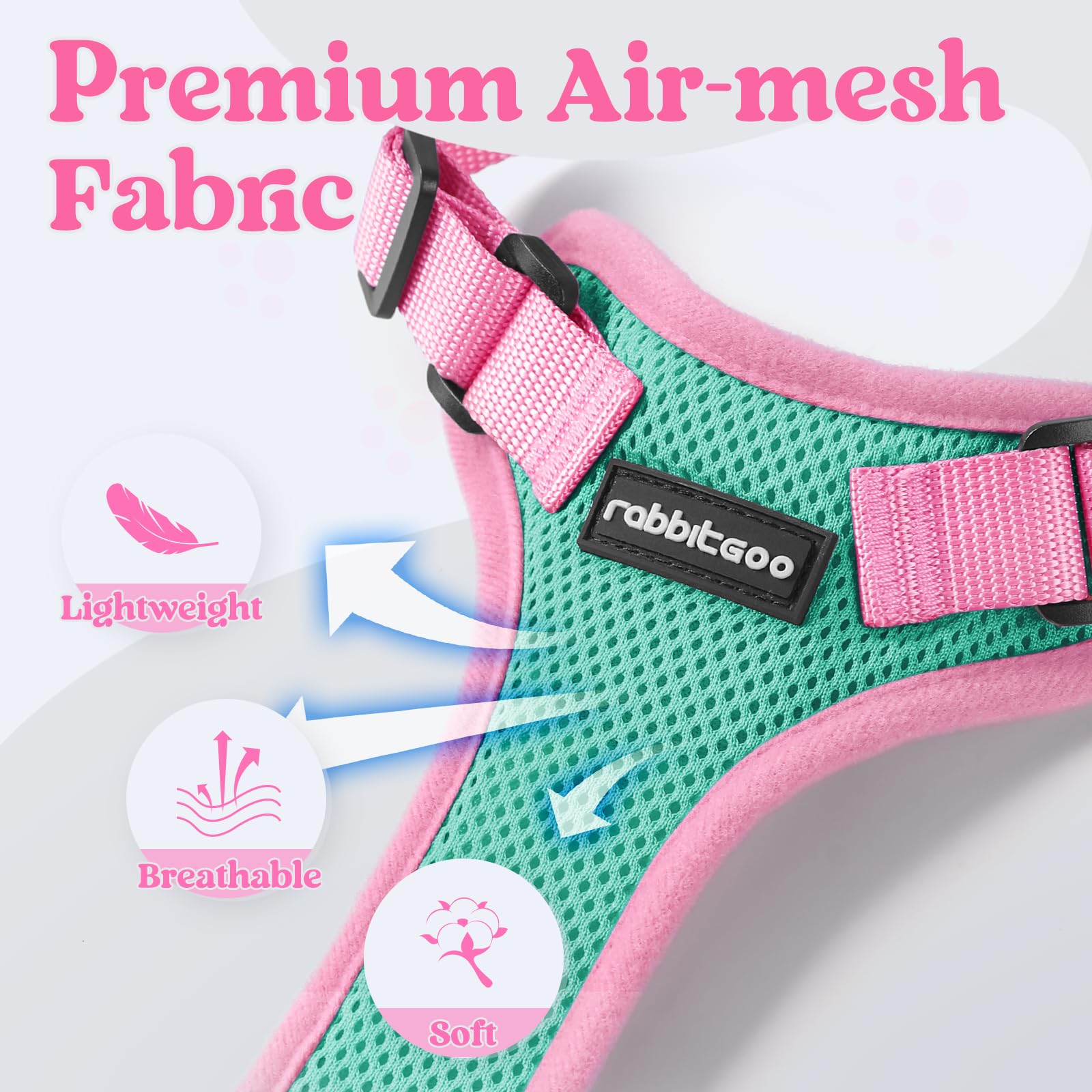 rabbitgoo Cat Harness and Leash Set shown on a cat.