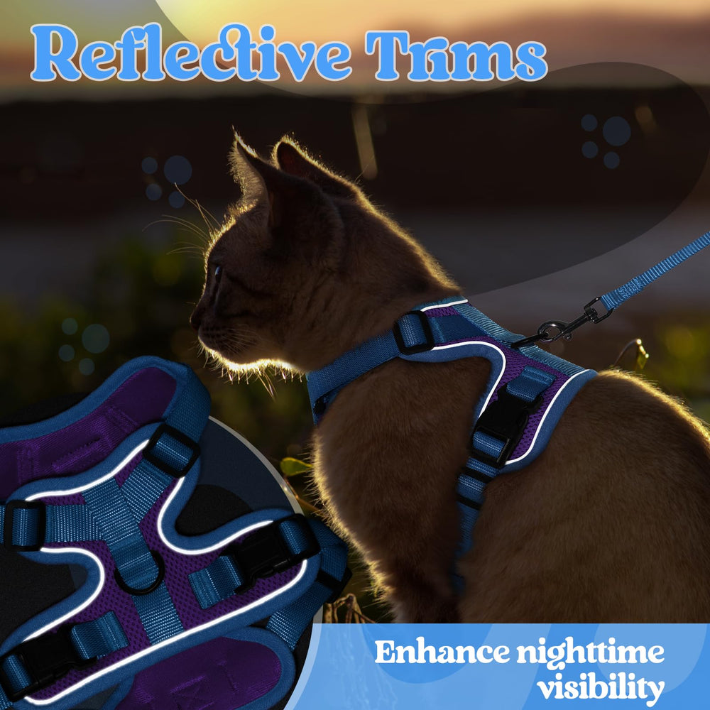 rabbitgoo Cat Harness shown fitted on a cat for an outdoor walk.