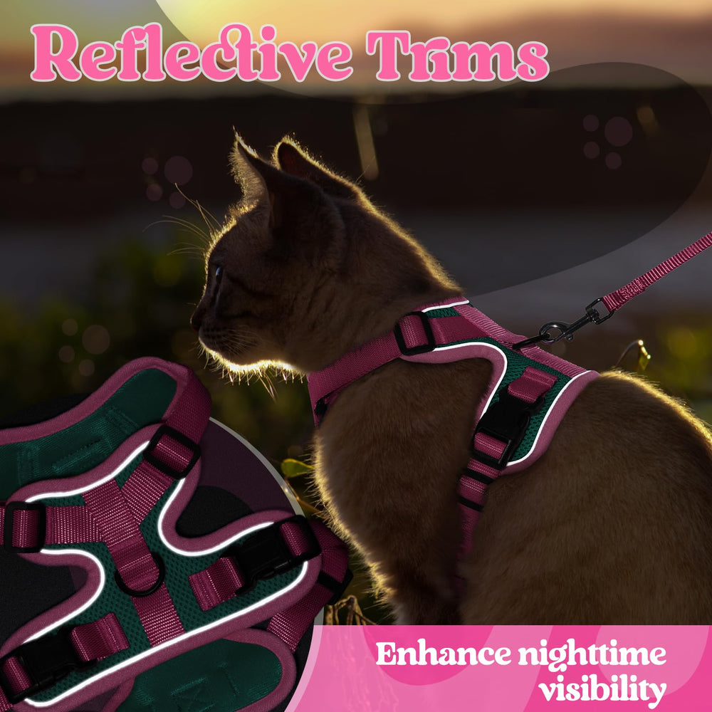 rabbitgoo Cat Leash close-up showing its 360-degree swivel clip.