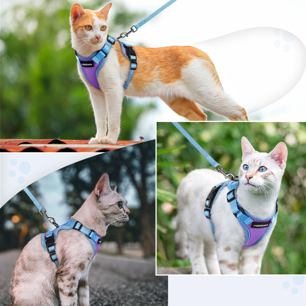 rabbitgoo Cat Leash close-up showing its 360-degree swivel clip.
