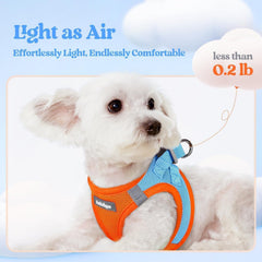rabbitgoo dog harness detail showing its adjustable hook-and-loop closure.