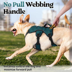 rabbitgoo dog harness detail showing the adjustable neck straps.