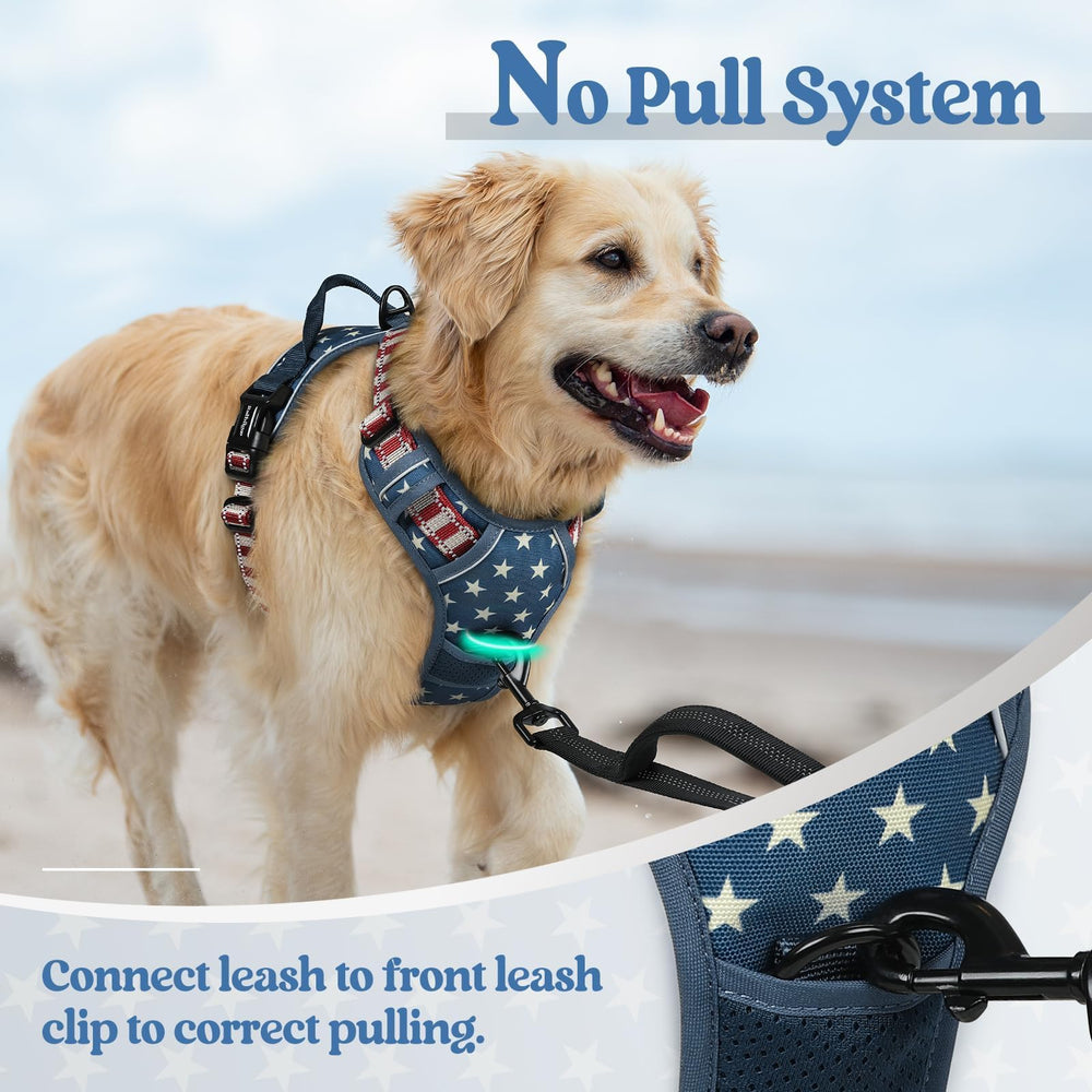rabbitgoo Dog Harness showing its adjustable straps and quick-release buckles.